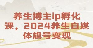 养生博主ip孵化课,2024养生自媒体旗号变现-虚拟资源库