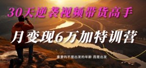 30天逆袭视频带货高手，单月变现6万加特训营-麦子甜-虚拟资源库