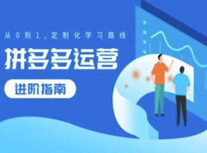 拼多多运营进阶指南,从0到1定制化学习路线-虚拟资源库