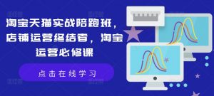 淘宝天猫实战陪跑班，店铺运营终结者，淘宝运营必修课-虚拟资源库