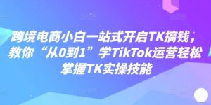 跨境电商小白一站式开启TK搞钱,教你“从0到1”学TikTok运营轻松掌握TK实操技能-虚拟资源库