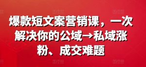 爆款短文案营销课,一次解决你的公域→私域涨粉、成交难题-虚拟资源库