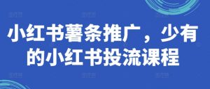 小红书薯条推广,少有的小红书投流课程-虚拟资源库
