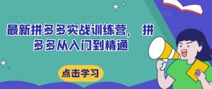 最新拼多多实战训练营, 拼多多从入门到精通-虚拟资源库