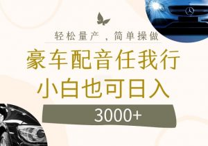 不为人知的暴力小项目,豪车配音,日入几张【揭秘】-虚拟资源库
