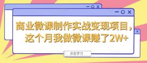 商业微课制作实战变现项目,这个月我做微课赚了2W+-虚拟资源库