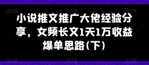 小说推文推广大佬经验分享,女频长文1天1万收益爆单思路(下)-虚拟资源库