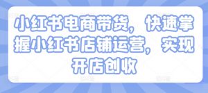 小红书电商带货，快速掌握小红书店铺运营，实现开店创收-虚拟资源库