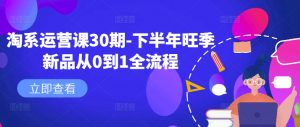 淘系运营课30期-下半年旺季新品从0到1全流程-虚拟资源库