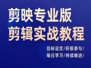 剪映专业版剪辑实战教程,目标设定/积极参与/每日学习/持续精进-虚拟资源库