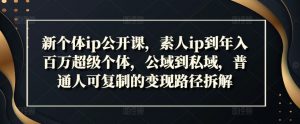 新个体ip公开课，素人ip到年入百万超级个体，公域到私域，普通人可复制的变现路径拆解-虚拟资源库
