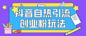 抖音引流创业粉自热玩法日引200+精准粉-虚拟资源库