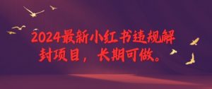 2024最新小红书违规解封项目，长期可做，一个可以做到退休的项目【揭秘】-虚拟资源库