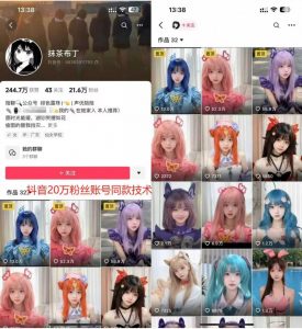 云天二次元美女起号教学,月涨10万粉丝,不判搬运-虚拟资源库