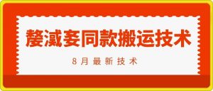 抖音96万粉丝账号【嫠㵄㚣】同款搬运技术-虚拟资源库