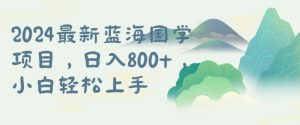 国学项目，长期蓝海可矩阵，从0-1的过程【揭秘】-虚拟资源库