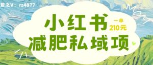 小红书减肥粉，私域变现项目，一单就达210元，小白也能轻松上手【揭秘】-虚拟资源库