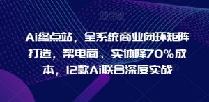 Ai终点站，全系统商业闭环矩阵打造，帮电商、实体降70%成本，12款Ai联合深度实战【0906更新】-虚拟资源库