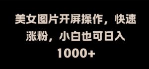 美女图片开屏操作,快速涨粉,小白也可日入1k【揭秘】-虚拟资源库