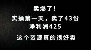 这个资源,需求很大,实操第一天卖了43份,净利润425【揭秘】-虚拟资源库