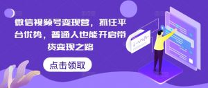 微信视频号变现营,抓住平台优势,普通人也能开启带货变现之路-虚拟资源库