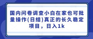 国内问卷调查小白在家也可批量操作(日结)真正的长久稳定项目,日入1k【揭秘】-虚拟资源库