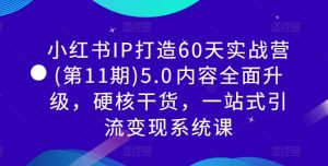 小红书IP打造60天实战营(第11期)5.0​内容全面升级，硬核干货，一站式引流变现系统课-虚拟资源库