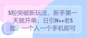 S粉突破新玩法，新手第一天就开单，日引N++老S批，一个人一个手机即可【揭秘】-虚拟资源库
