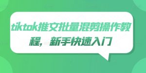 tiktok推文批量混剪操作教程，新手快速入门-虚拟资源库