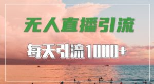 抖音快手视频号全平台通用,无人直播引流法,超暴力引流1000+高质量精准创业粉【揭秘】-虚拟资源库