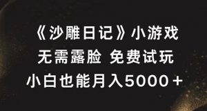 《沙雕日记》小游戏，无需露脸免费试玩，小白也能月入5000+【揭秘】-虚拟资源库