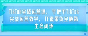TikTok全域运营课，手把手TikTok实战运营教学，打造带货全链路生态闭环-虚拟资源库
