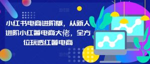 小红书电商进阶版，从新人进阶小红薯电商大佬，全方位玩透红薯电商-虚拟资源库