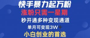 快手暴力起万粉，涨粉只需一星期，多种变现模式，直接秒开万合，单月变现过W【揭秘】-虚拟资源库