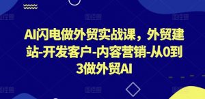 AI闪电做外贸实战课，​外贸建站-开发客户-内容营销-从0到3做外贸AI（更新）-虚拟资源库