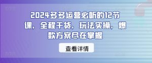 2024多多运营必听的12节课，全程干货，玩法实操，爆款方案尽在掌握-虚拟资源库
