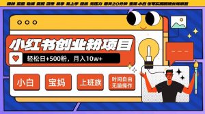 小红书创业粉项目日+500粉,每天20分钟躺赚长尾收益,无脑操作,宝妈,小白抓紧冲【揭秘】-虚拟资源库