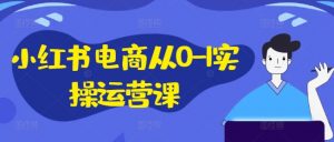 小红书电商从0-1实操运营课，小红书手机实操小红书/IP和私域课/小红书电商电脑实操板块等-虚拟资源库