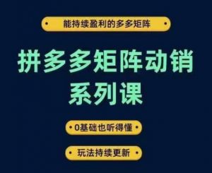 拼多多矩阵动销系列课，能持续盈利的多多矩阵，0基础也听得懂，玩法持续更新-虚拟资源库