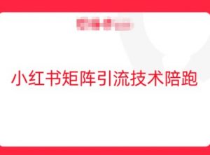 小红书矩阵引流技术，教大家玩转小红书流量-虚拟资源库