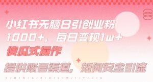 小红书无脑每日引流创业粉500+,小白每天只花半小时,躺赚长尾收益【揭秘】-虚拟资源库