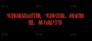 实体流量运营课,实体引流、商家加盟、暴力起号等-虚拟资源库