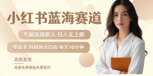 小红书蓝海赛道，圈中高端职场人，月入无上限，可矩阵，内含私域实操教程!-虚拟资源库