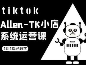 TK小店系统运营课-tiktok跨境电商教程-虚拟资源库