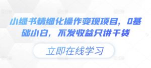 小绿书精细化操作变现项目,0基础小白,不发收益只讲干货-虚拟资源库