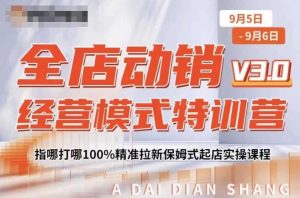全店动销经营模式特训营，指哪打哪100%精准拉新保姆式起店实操课程-虚拟资源库
