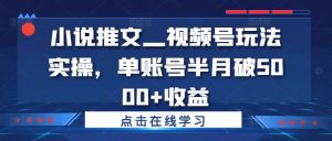 小说推文—视频号玩法实操，单账号半月破5000+收益-虚拟资源库