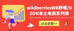 wildberriesWB野莓/OZON本土电商系列课，掌握WB产品优化，出单技巧和订单处理等-虚拟资源库