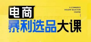电商暴利选品大课，3大选品思维模式，助力电商企业实现利润突破-虚拟资源库