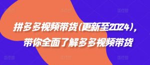 拼多多视频带货(更新至2024)，带你全面了解多多视频带货-虚拟资源库